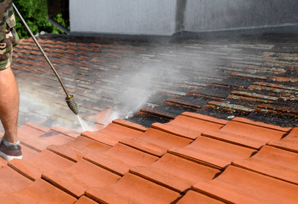 Best Residential Pressure Washing Services  in West Miami, FL
