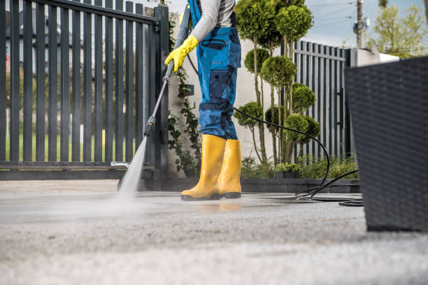 Best Deck Cleaning Services  in West Miami, FL