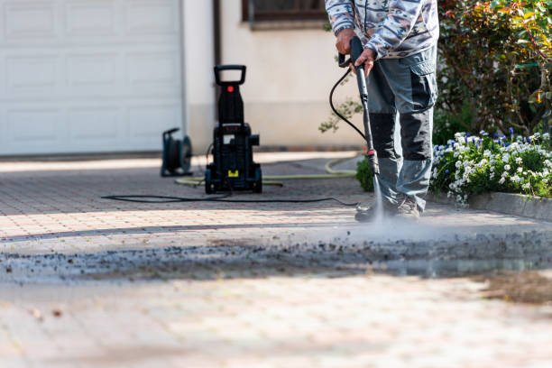 Best Local Pressure Washing Services  in West Miami, FL