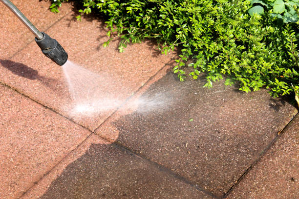 Best Affordable Pressure Washing  in West Miami, FL